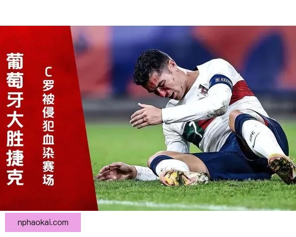 葡萄牙赛后风波质疑不敢传球罗